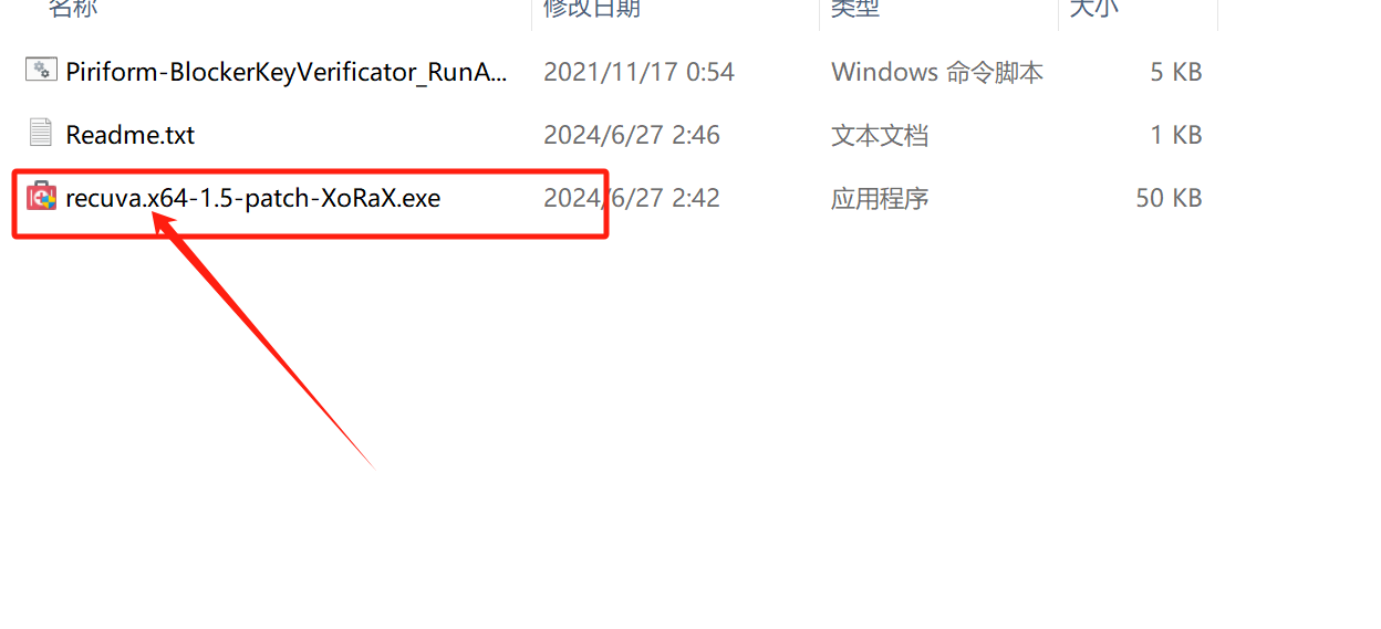Recuva 1.54.120 数据恢复工具 中文专业版  第3张