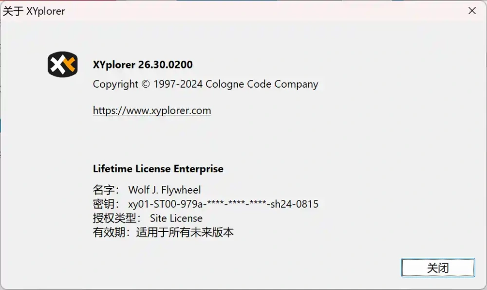 XYplorer Pro v26.30.0200 强大的Windows 文件管理器专业版  第2张